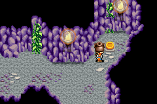 Lufia: The Ruins of Lore Image