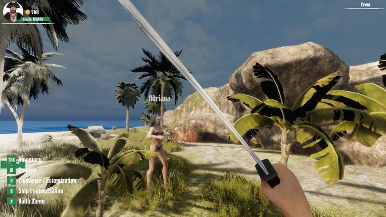 Pirate Skulls and Sails Online screenshot