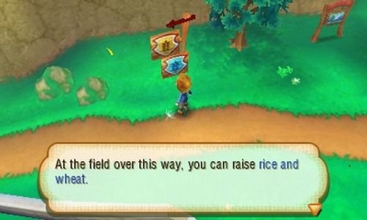 Story of Seasons Image