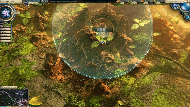 Ants Megapolis screenshot