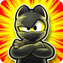 Ninja Hero Cats Image