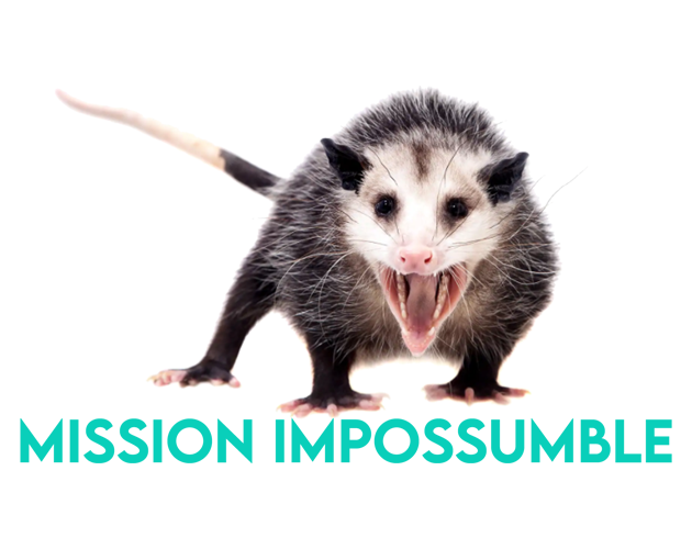 Games like Mission ImPossumble
