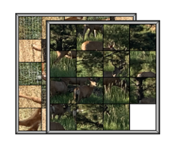 Swiggart's Nature Puzzles Image