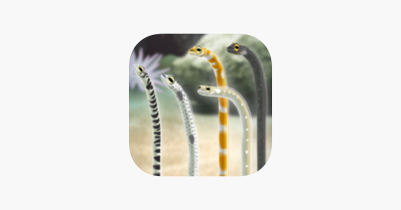 Garden Eel Pet Game Cover