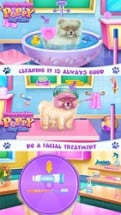 Pomeranian Puppy Day Care Image