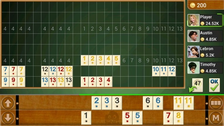 Rummy Offline Image