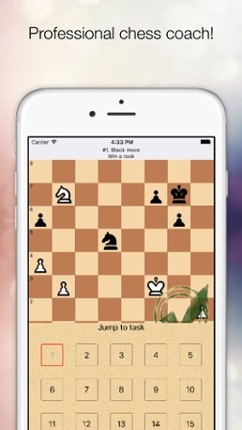 Free Chess Studies screenshot
