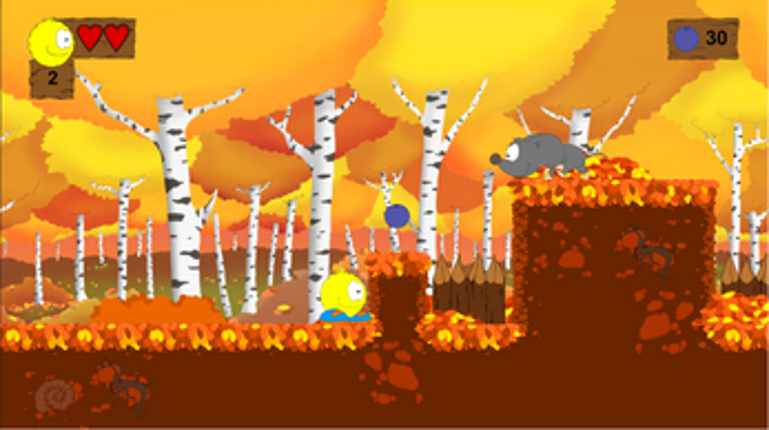 Blueberry Quest Image