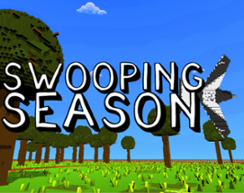 Swooping Season Image