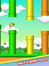 Game of Fun Birds - Cool Run Image