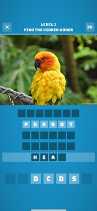 Hidden Words Puzzle screenshot