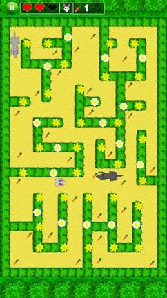 Hungry Rabbit – The Ultimate Free Arcade Platformer Game for Mobile Android screenshot