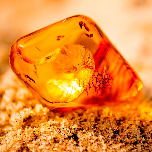 Games like Intuition Images AutoResult Port