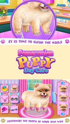 Pomeranian Puppy Day Care screenshot