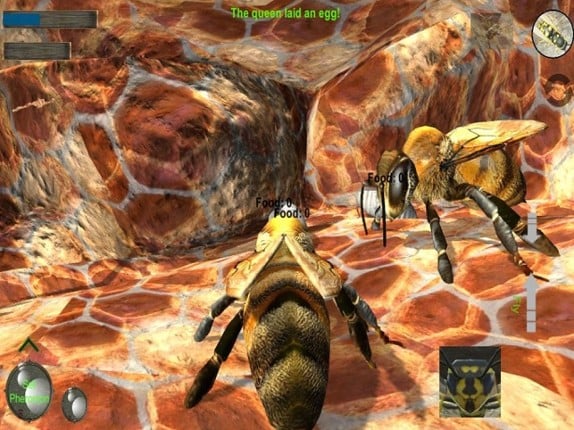 Bee Nest Simulator Full Image