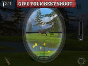 Best Shooter Deer:Hunting For Image