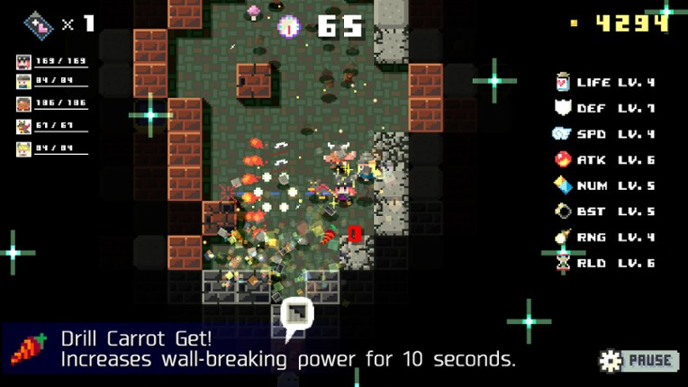 DUNGEON RAZE screenshot