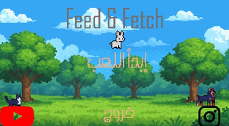 Feed & Fetch Image