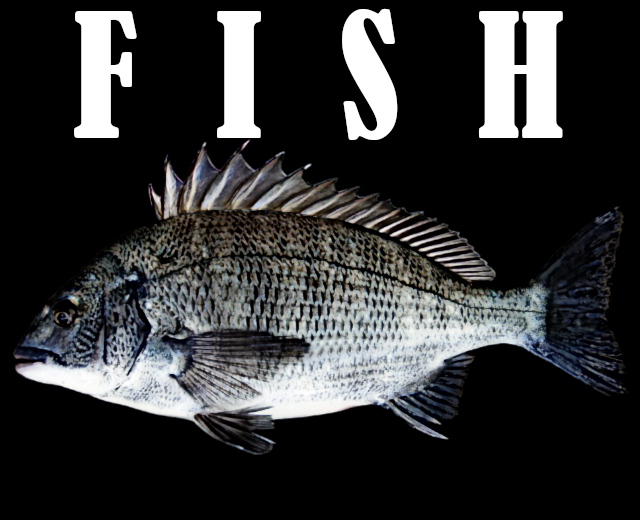 Games like FISH
