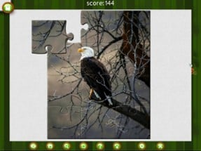 1001 Jigsaw. Wild Animals Image