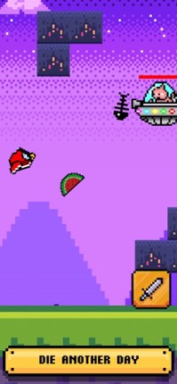 Bird Gun screenshot