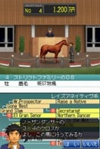 Derby Stallion DS Image