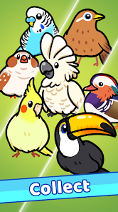 Idle Bird Park screenshot