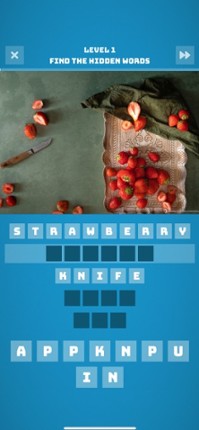 Hidden Words Puzzle screenshot