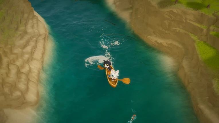 Paddle Cats Image