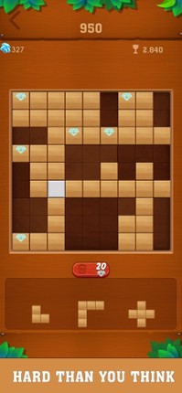 Tetrudoku- Block Puzzle screenshot