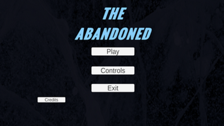 The Abandoned Image