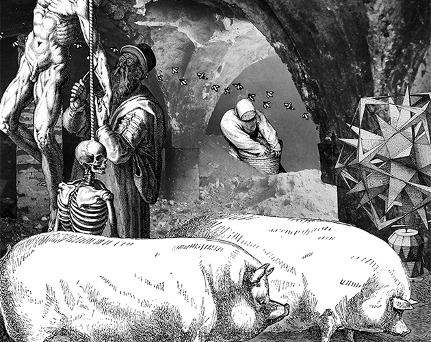 Games like The Beloved Underbelly