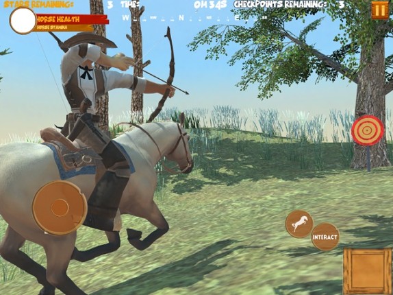 Wild West Cowboy Horse Rider screenshot