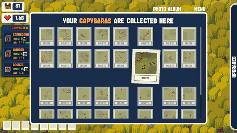 CapyCam Image