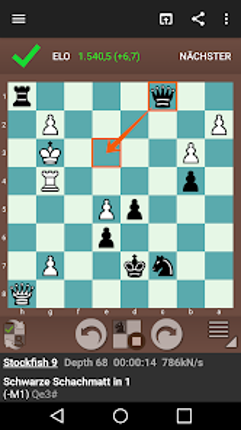 Fun Chess Puzzles Pro screenshot