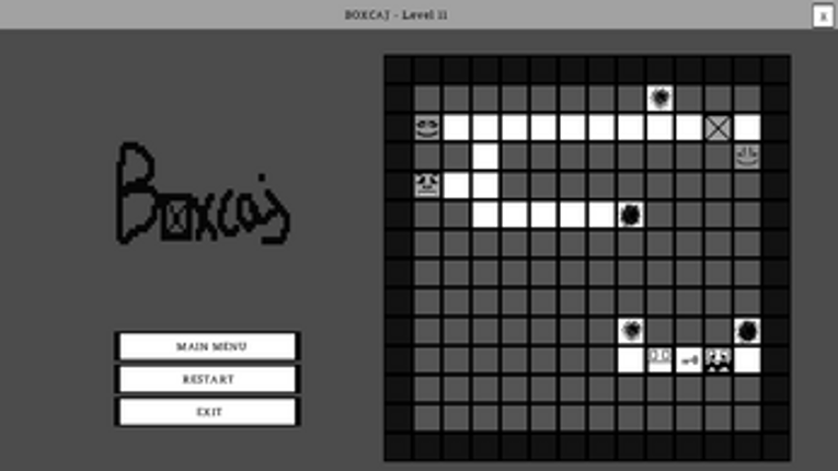 BOXCAJ screenshot