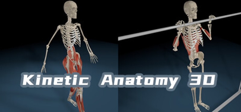 Kinetic Anatomy 3D Image