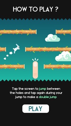 Rabbit Jump Image