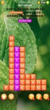 Word Cubes: Find Hidden Words Image