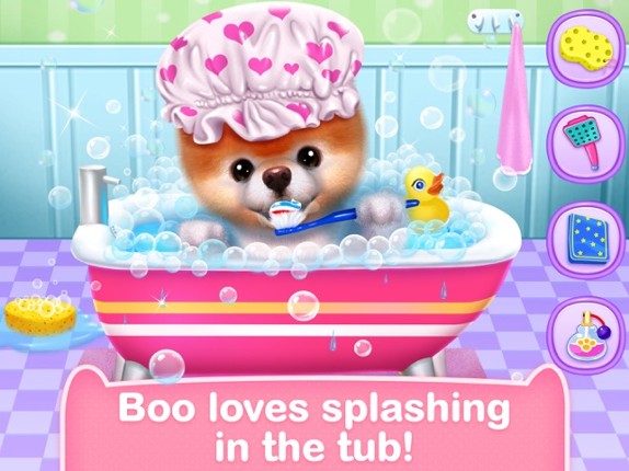 Boo - World's Cutest Dog Game screenshot