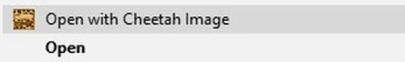 Cheetah Image screenshot