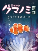 Clownfish Aquarium Image