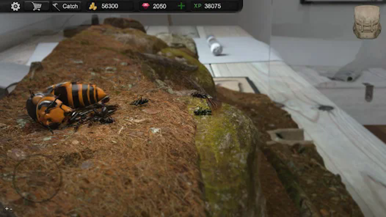 Ant Sim Tycoon Image