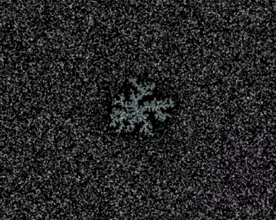 Diffusion Limited Aggregation #Exp 8 Image