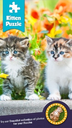 Jigsaw Cutest Kitten Ever Puzzle Puzz - Play To Enjoy Image