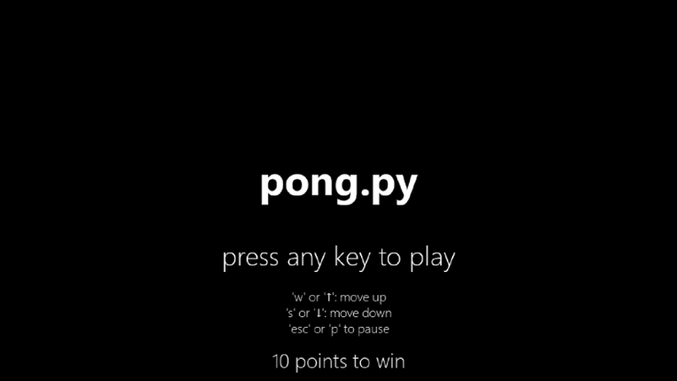 pong.py Image