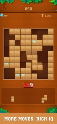 Tetrudoku- Block Puzzle screenshot
