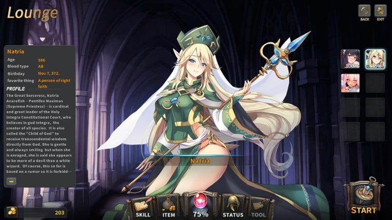 Wish - Israfil Saga screenshot