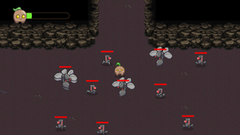 101_Produksi Kecambah_Pelajar_Holy Seeds Image