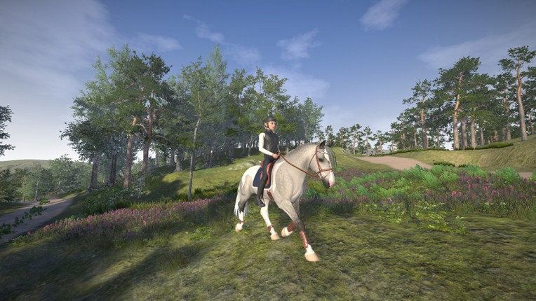 Astride screenshot